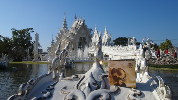 Bibikings CD vol.1 Podróż po Azji (White Temple)